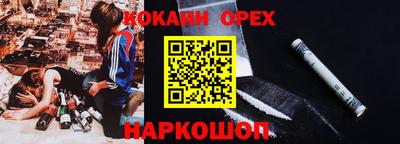 гидра Будённовск