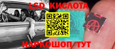 гидра Будённовск