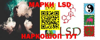 гидра Будённовск