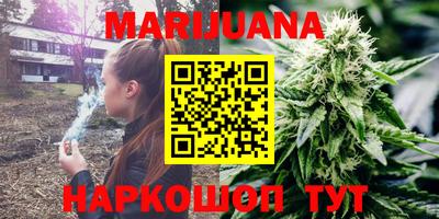 гидра Будённовск