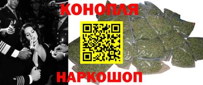 гидра Будённовск