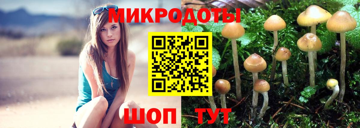 Ростов-на-Дону  Псилоцибиновые грибы Magic Shrooms  Вход с VPN  Галлюциногенные грибы прущие грибы 