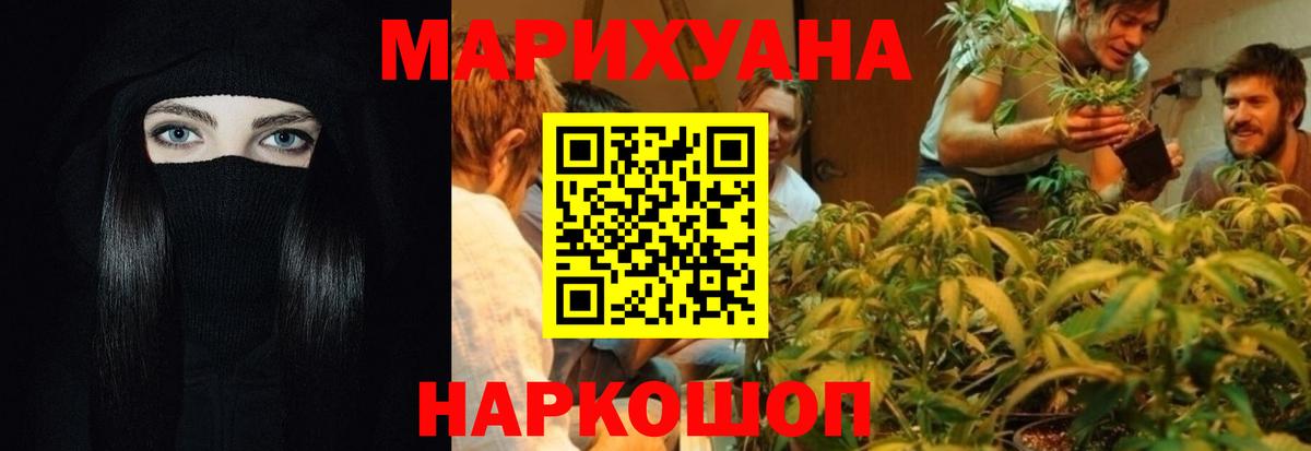 Шишки марихуана семена Ростов-на-Дону